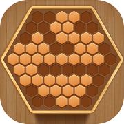 Wooden Hexagon Block