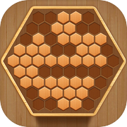 Play Wooden Hexagon Block