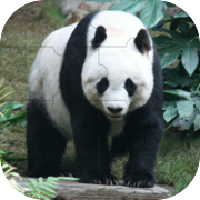 Play Panda Puzzle Game