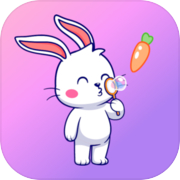 Play Bunny puzzle