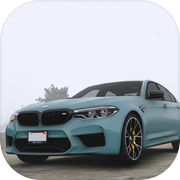 Racing BMW M5 F90 Fast Action