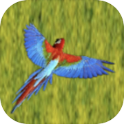 Play Soaring parrot