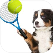 Dog Tennis Champs Ping Pong