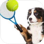 Play Dog Tennis Champs Ping Pong