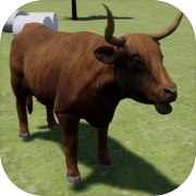 Highland cattle Simulator