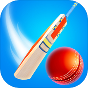 Play Perfect Cricket Game