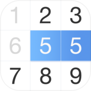 Number Puzzle - Ten & Pair