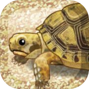 Play Tortoise Aquarium Free