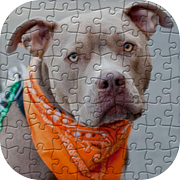 Play Pitbulls Jigsaw Puzzles