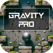 Play Gravity Pro