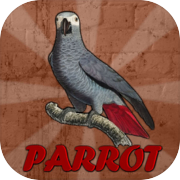 Grey Parrot Rescue