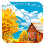 Exact Match Puzzles