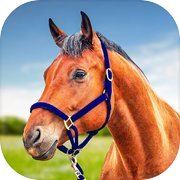 Play Horse Simulator Cowboy Game