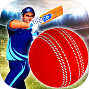 World Cup T20 Cricket Games