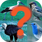 Play Bird quiz game