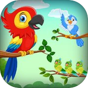Bird Color Sort : Puzzle Games