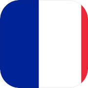 France Flag Puzzle