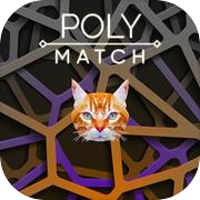 Poly Match