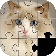 Cats Jigsaw Puzzles Games