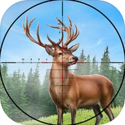 Wild Animal Deer Hunting