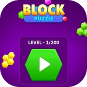 Block Box Puzzle : Block Game