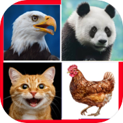 Play Animal Quiz Learn & Play game