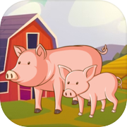 Farm Pigs