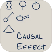 Causal Effect