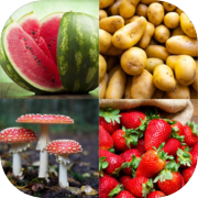 Vegetables and Fruits Quiz
