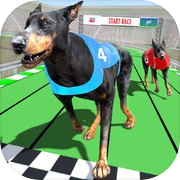 Play Dog Racing Championship Game