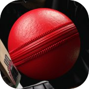 Cricket Frenzy Challenge