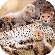 Play Wild Attack Cheetah Simulator