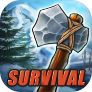Play Survival Game Winter Island