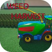 Play Weed Harvest