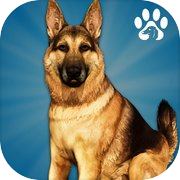 Animal Shelter Dog Simulator