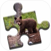 Play Bear Love Puzzle