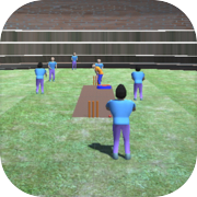 Play Single Wicket Cricket