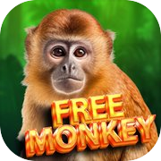 Play Release the Monkey