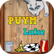 Play PUYM : Lake