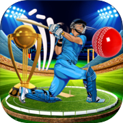 Play Play 3D Cricket World Cup