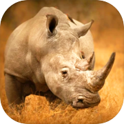 Play Rhino Simulator : Rhino Games