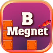 B Megnet