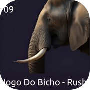 Jogo Do Bicho - Rush