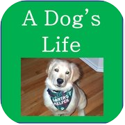 Dog's Life - Sudoku