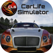 CarLife Simulator