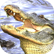 Alli Attack : Alligator Games