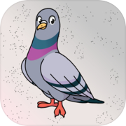 Rescue The Rock Pigeon