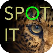 Play Spot it Photo Hunt Game