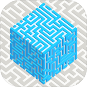 3D Block Maze