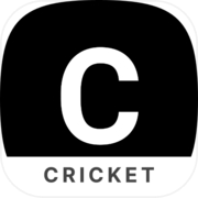 Easy Cricket